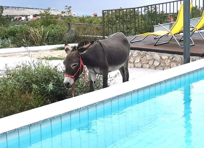 Villa Suzi Donkey Farm With Seaview