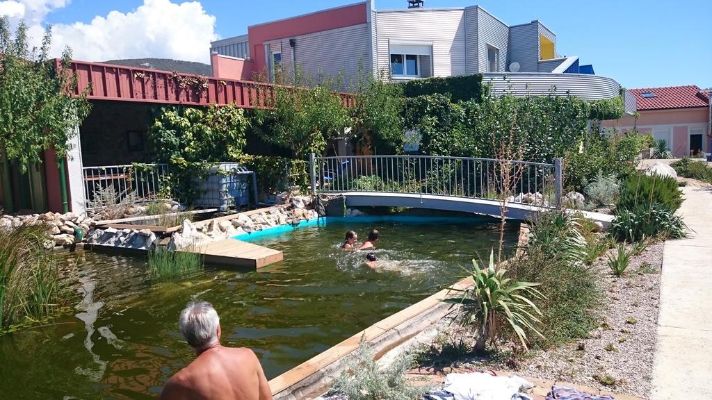 Suzi Donkey Farm With Seaview Apartment