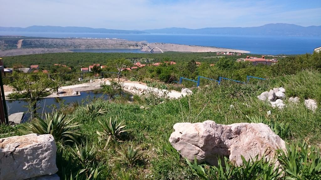 Suzi Donkey Farm With Seaview