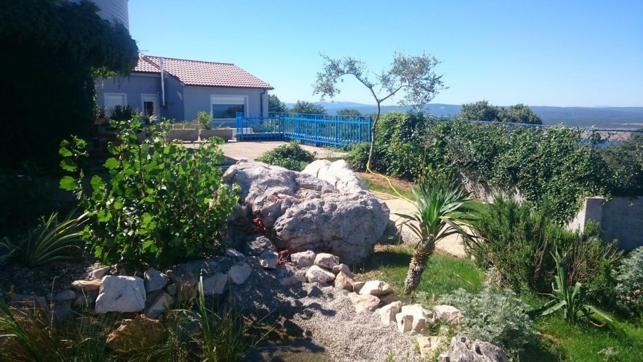 Suzi Donkey Farm With Seaview