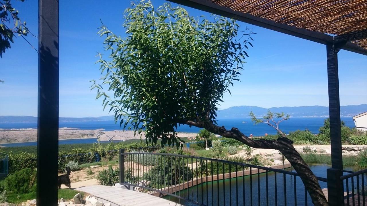 Suzi Donkey Farm With Seaview