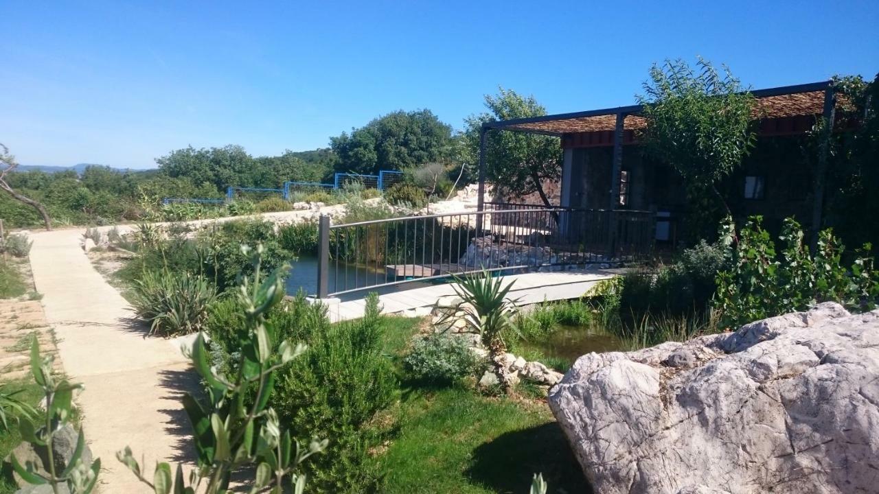 Suzi Donkey Farm With Seaview