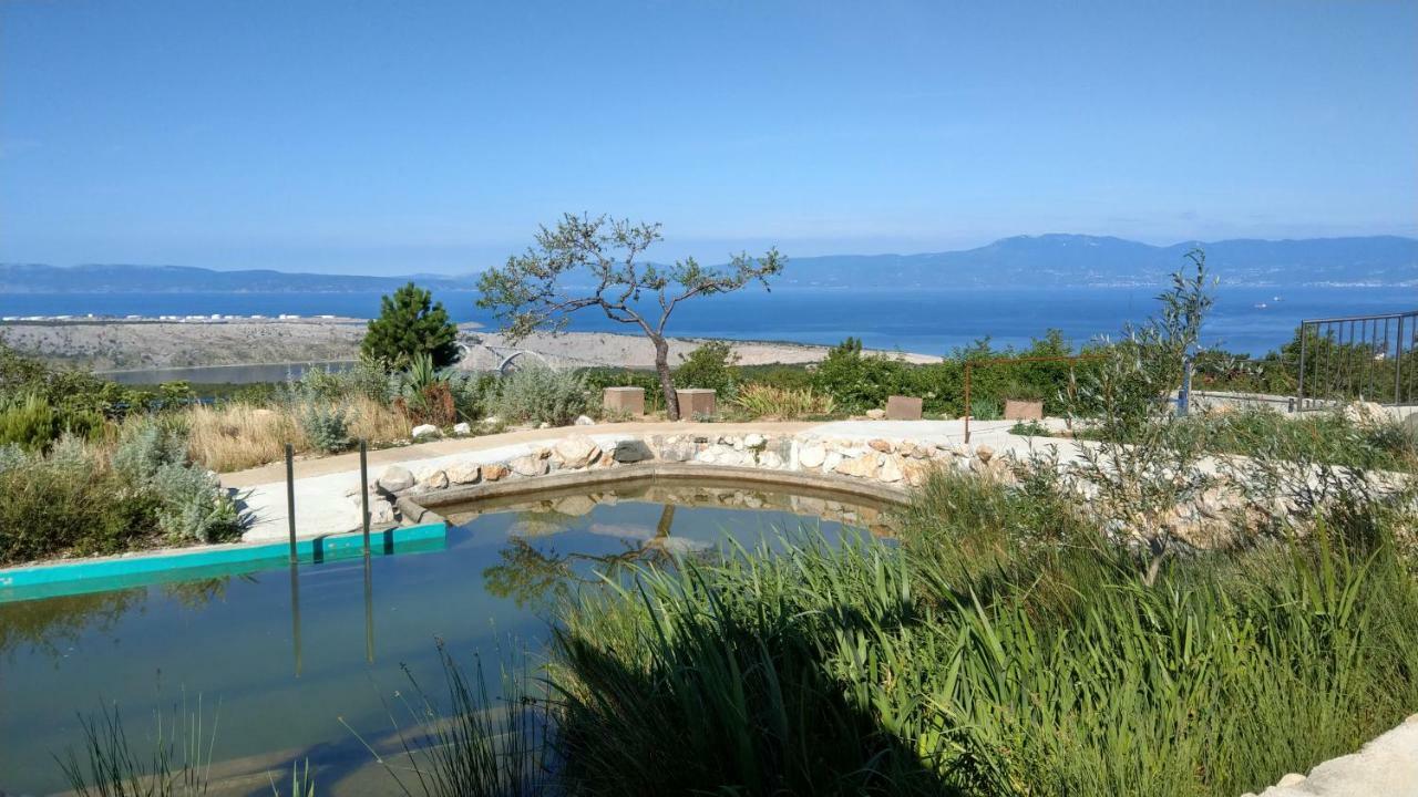 Suzi Donkey Farm With Seaview