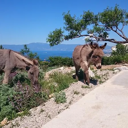 Villa Suzi Donkey Farm With Seaview Smrika Exterior photo