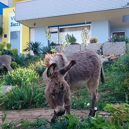 Villa Suzi Donkey Farm With Seaview Smrika Exterior photo